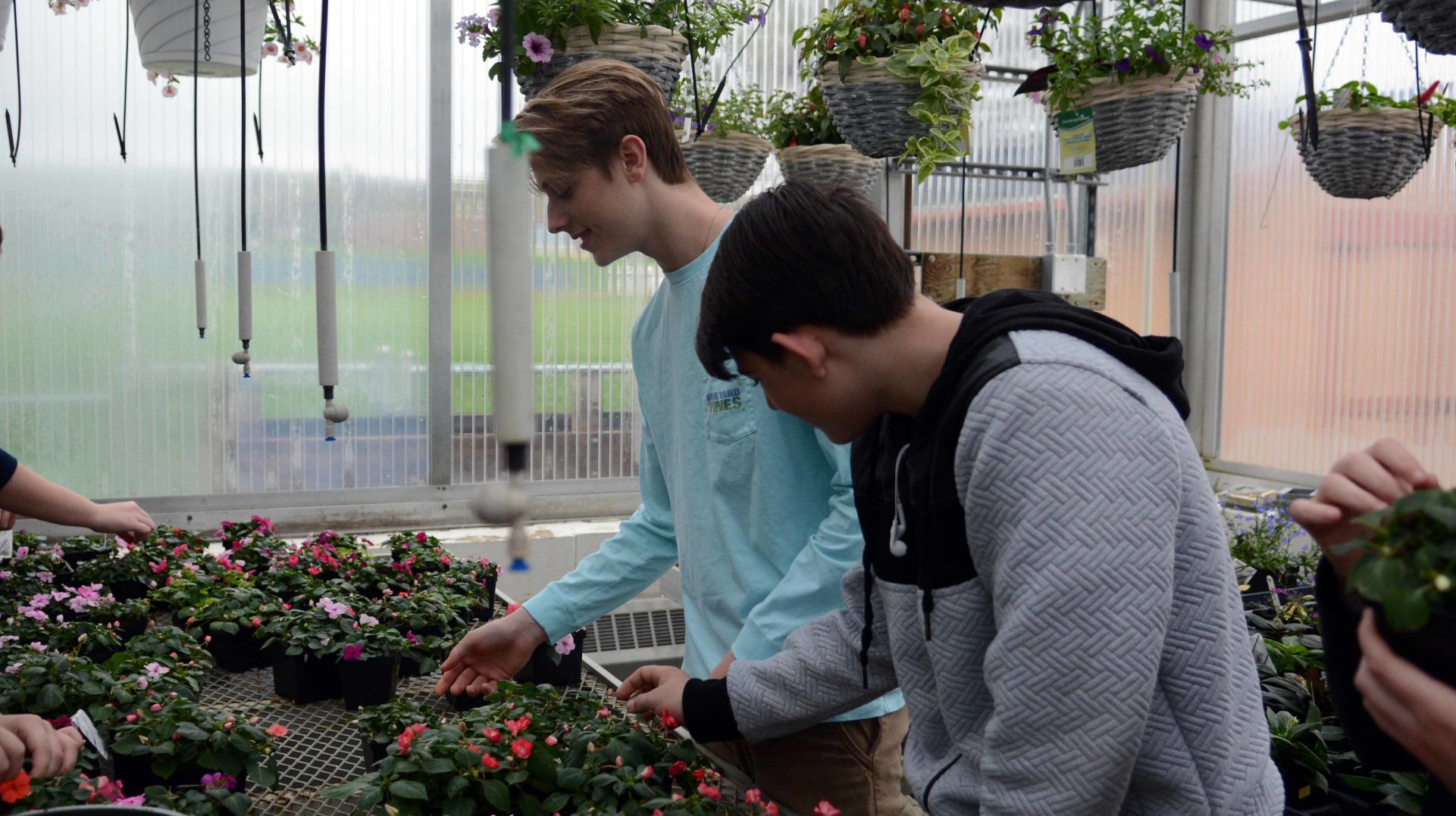 Baraboo High School students prepare for annual plant sale